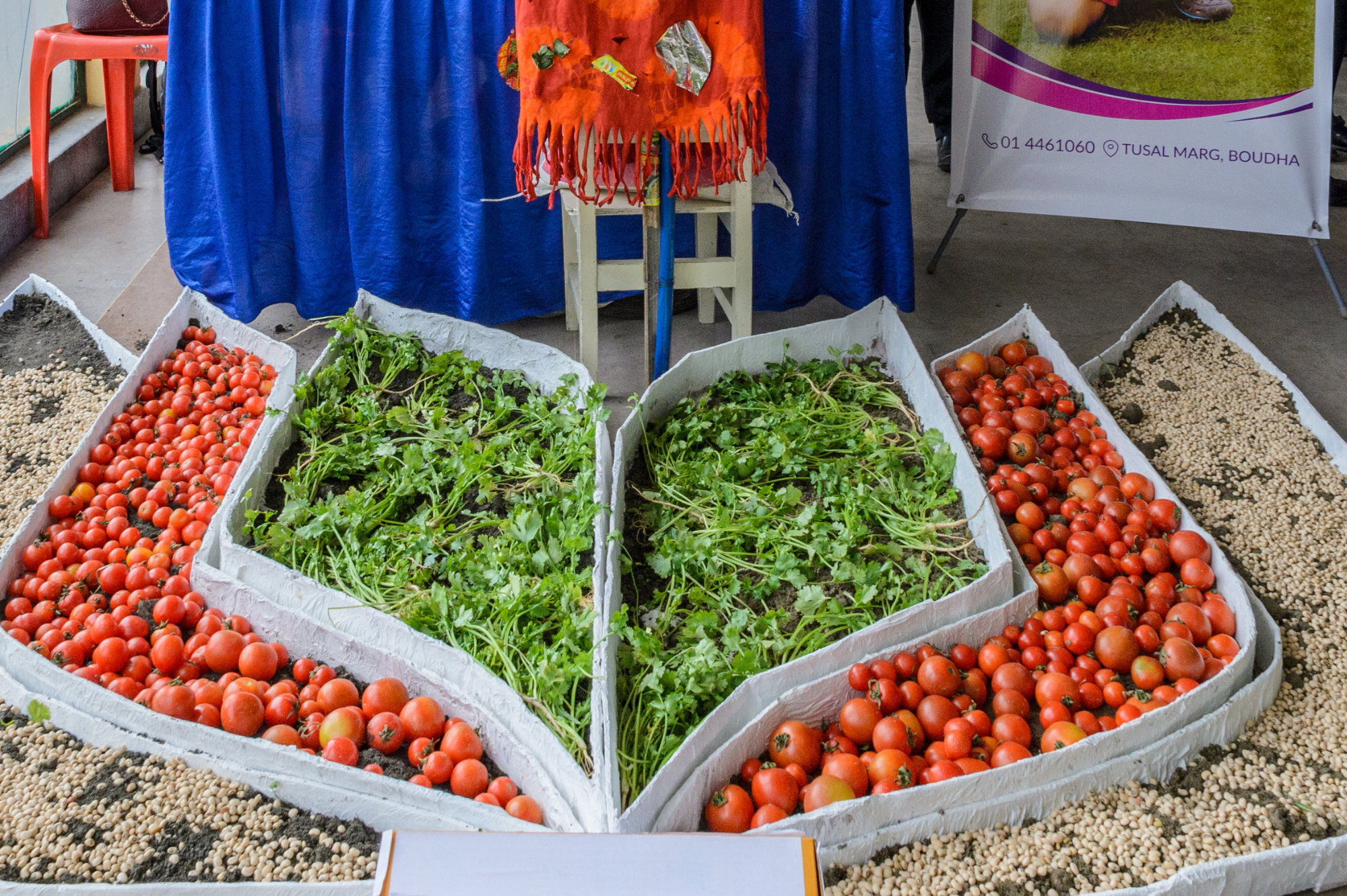 4. WCN Food Program